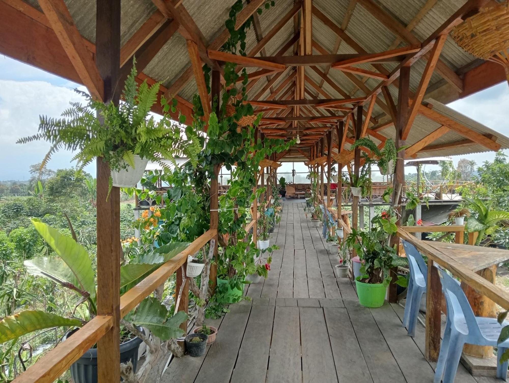 Vulkaan Homestay 不拉士打宜 外观 照片