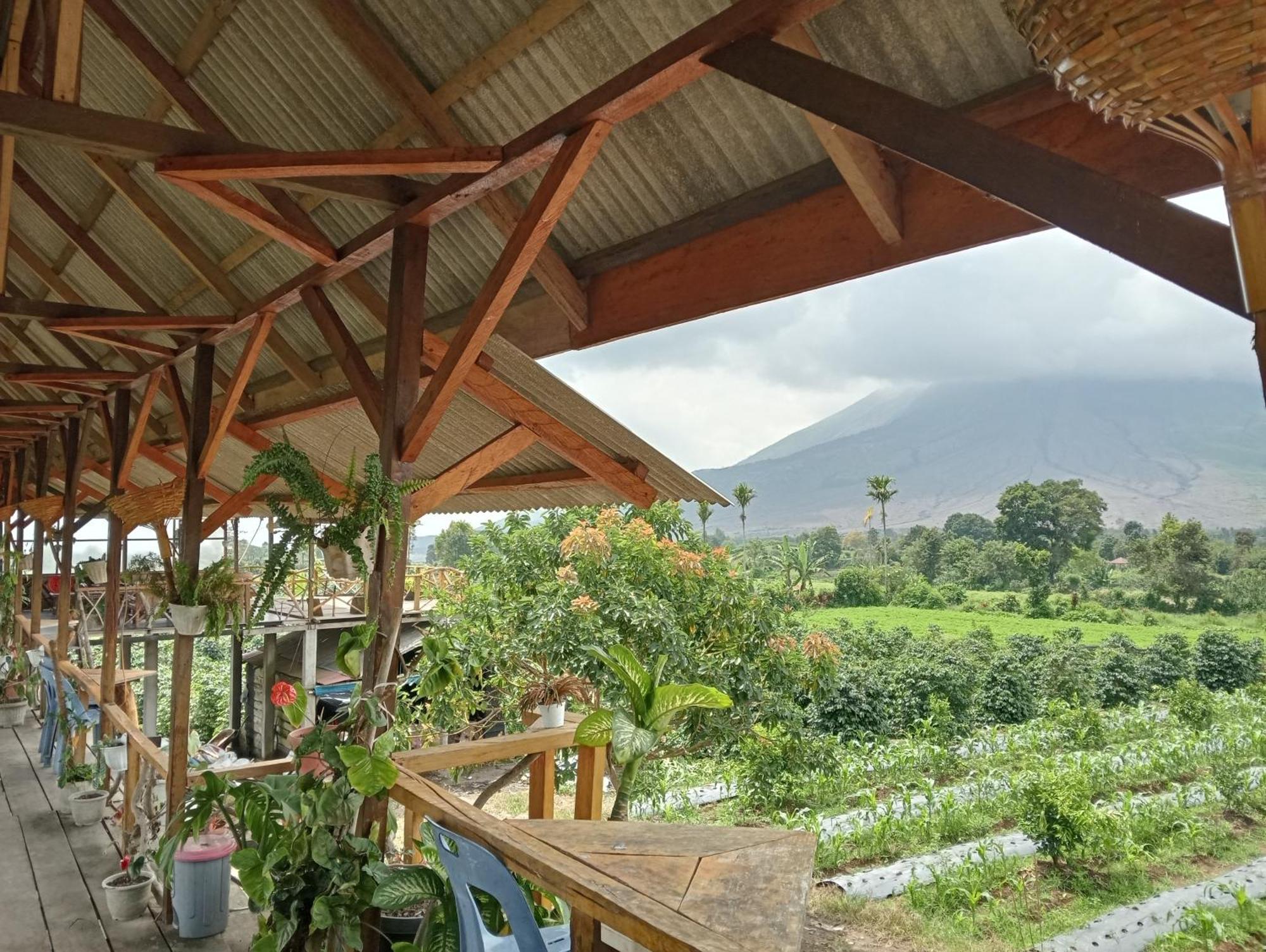 Vulkaan Homestay 不拉士打宜 外观 照片