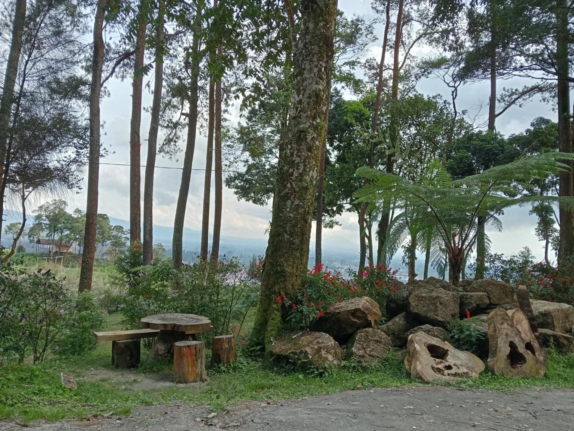 Vulkaan Homestay 不拉士打宜 外观 照片