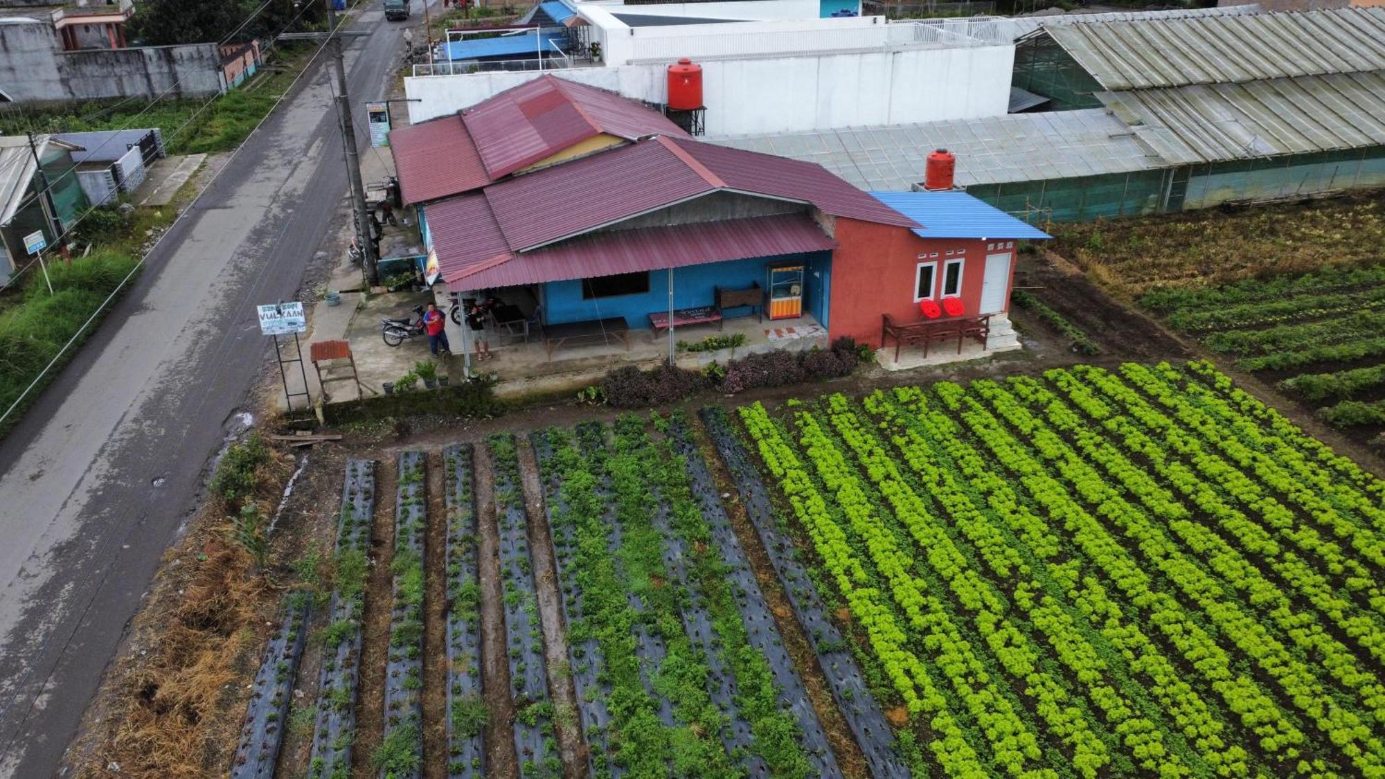 Vulkaan Homestay 不拉士打宜 外观 照片